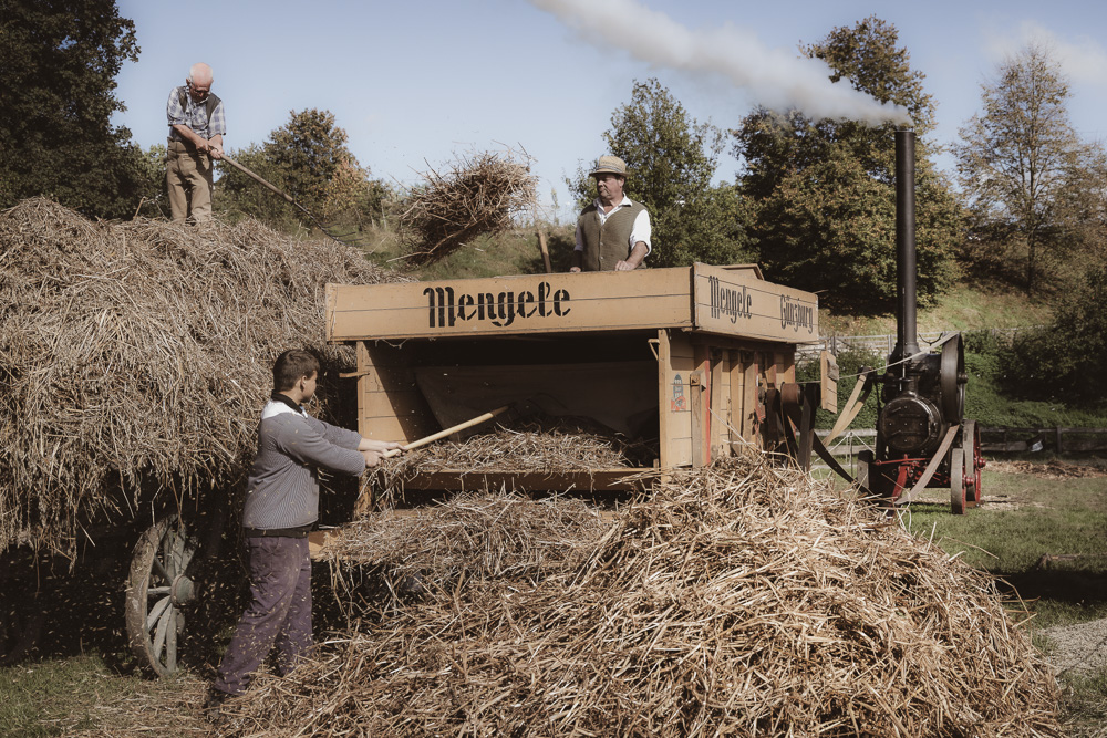 Platz 5 Anton Kienle